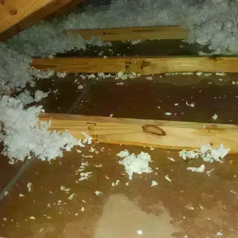 Attic Water Damage in Canby, OR