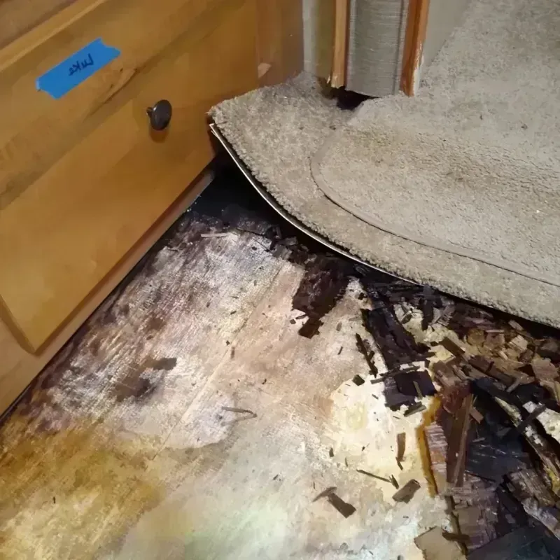 Wood Floor Water Damage in Canby, OR